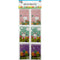 CRAFT NOTEBOOK MINI 20SHEETS 6PC 2x3.5in(5x9cm)
