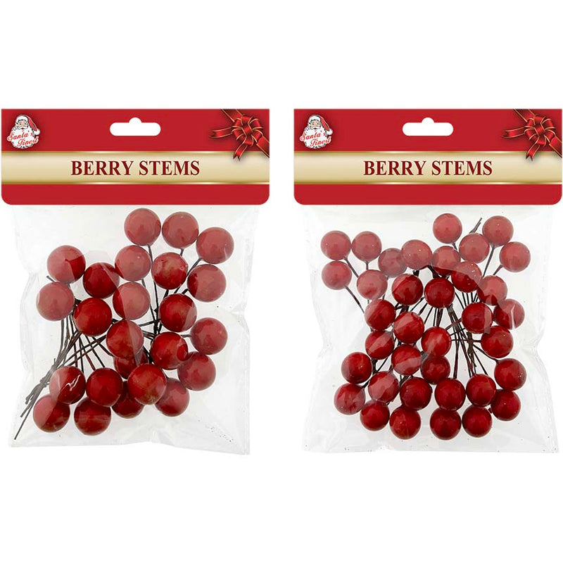 BERRY STEM BUNDLE 2ASTD