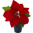POINSETTIA POT 1FL 20CM