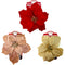 POINSETTIA CLIP 25CM CNDS
