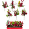 CHRISTMAS PICKS 36PC DISPLAY BOX