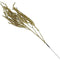 AMARANTH SPRAY BRANCH GLTR 75CM LTGOLD