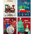 GIFT BAG XM 767MD 32(H)x26(W)x10(G)CM
