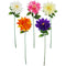 CHRYSANTHEMUM; SINGLE LONG STEM