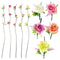 WILLOW BRANCH ROSES 7CM 5 ASSTD