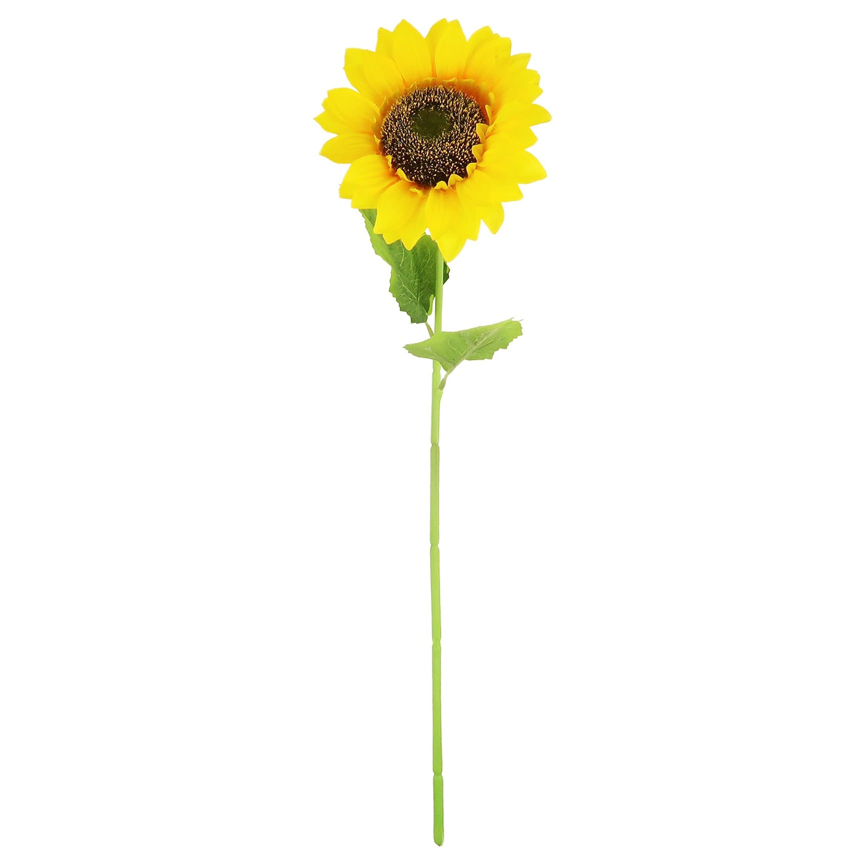 SUNFLOWER STEM