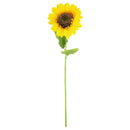 SUNFLOWER; LONG STEM