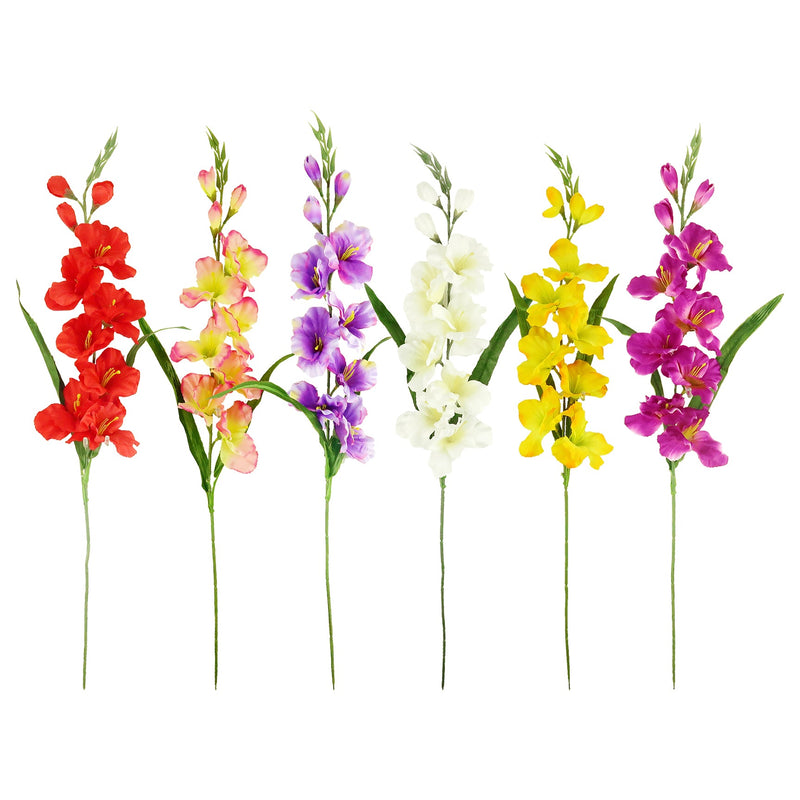 GLADIOLA; LONG STEM