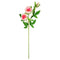 ROSE LONG STEM 3BRANCH PINK ONLY