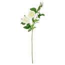 ROSE LONG STEM 3BRANCH WHITE ONLY