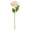 HYDRANGEA LONG STEM PINK ONLY