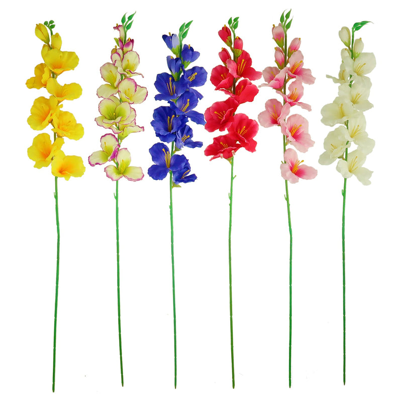 GLADIOLA 6 ASSTD COLORS