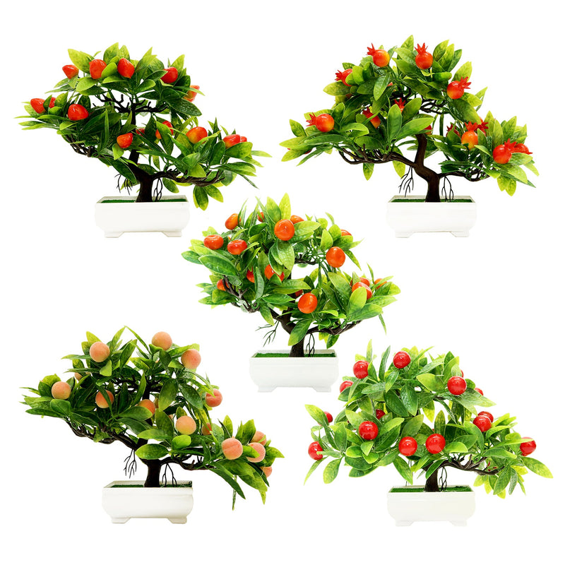 POTTED BONSAI FRUIT TREE 5 ASSTD