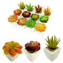 SUCCULENT PLANT WITH POT 3 ASSTD