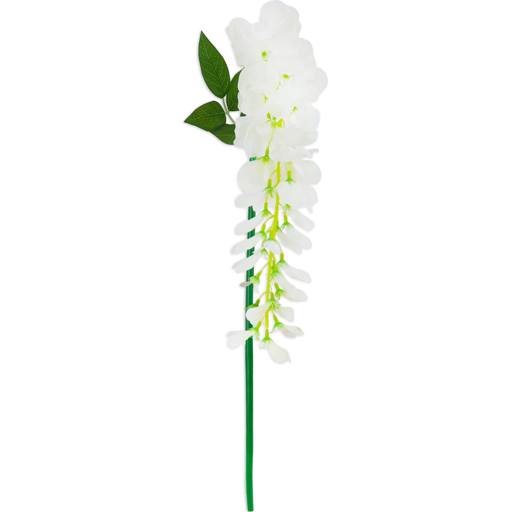 BEAN FLOWER; DESIGNER SINGLE STEM (WHITE)