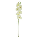 ORCHID BUTTERFLY; DESIGNER (WHITE)