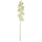 ORCHID BUTTERFLY; DESIGNER (WHITE)