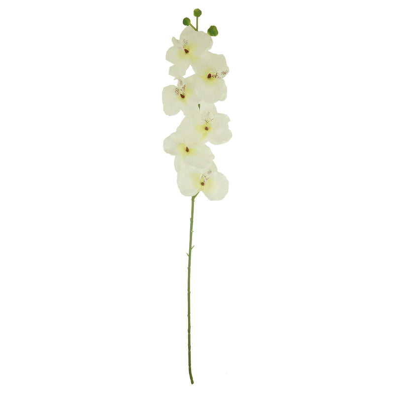 ORCHID BUTTERFLY; DESIGNER (WHITE)