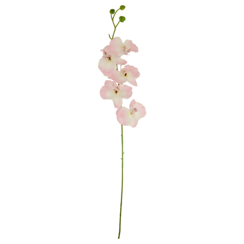 ORCHID BUTTERFLY; DESIGNER (PALE PINK)