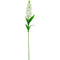 VIOLET; DESIGNER SINGLE STEM (WHITE)