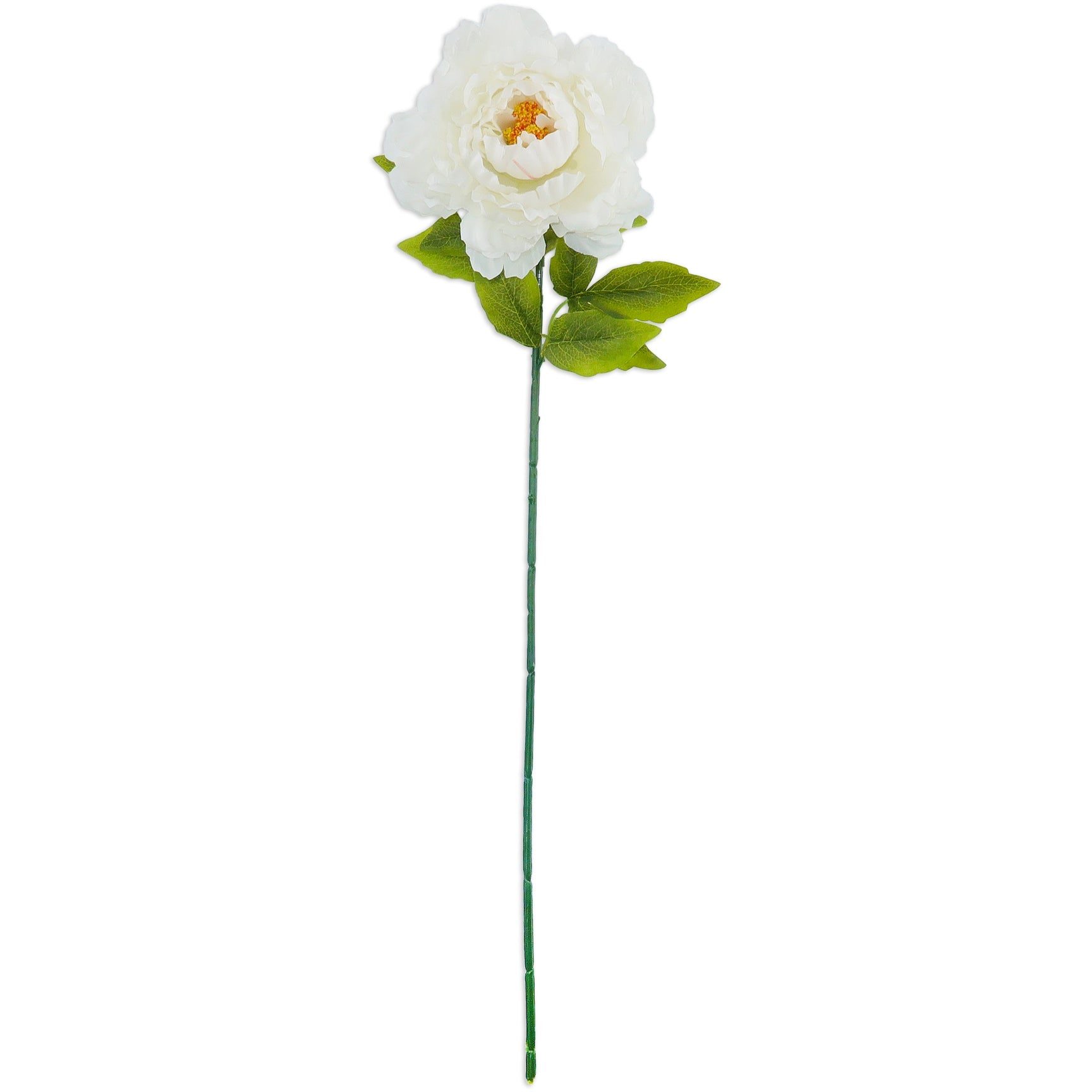 PEONY; DESIGNER SINGLE LONG STEM (WHITE)