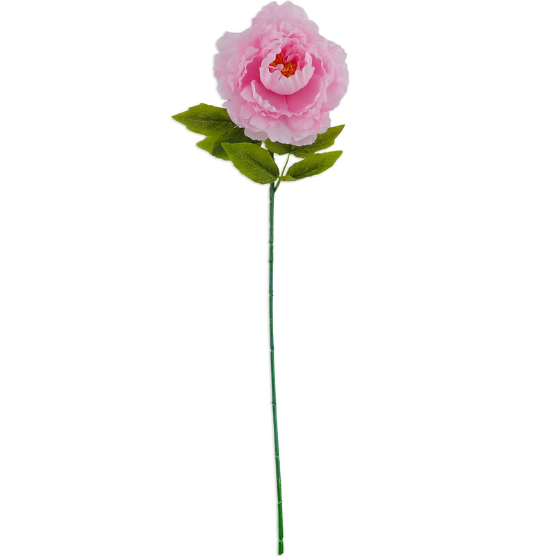 PEONY; DESIGNER SINGLE LONG STEM (PALE PINK)