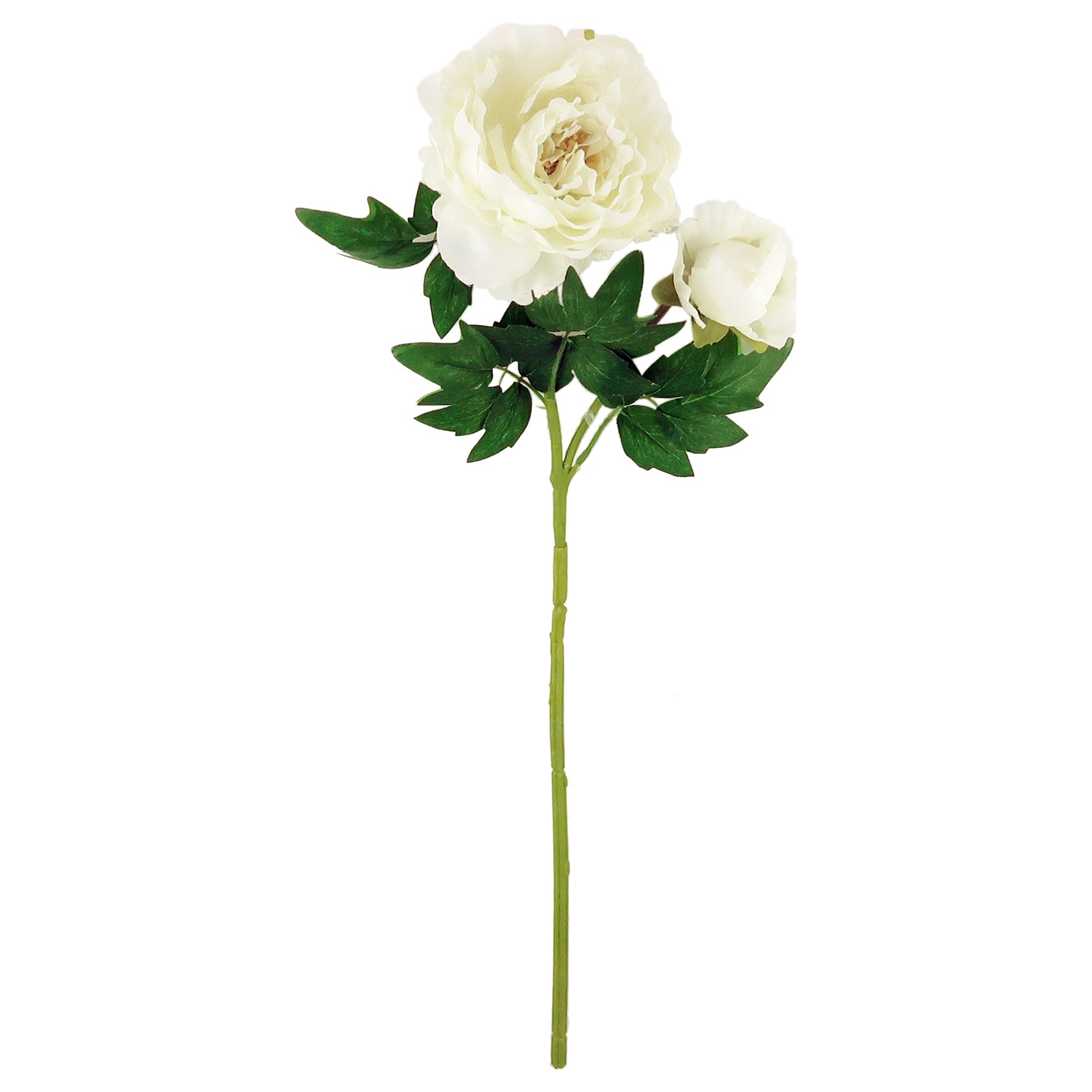 PEONY; DESIGNER 2-BRANCH STEM (WHITE)