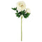 PEONY; DESIGNER 2-BRANCH STEM (WHITE)