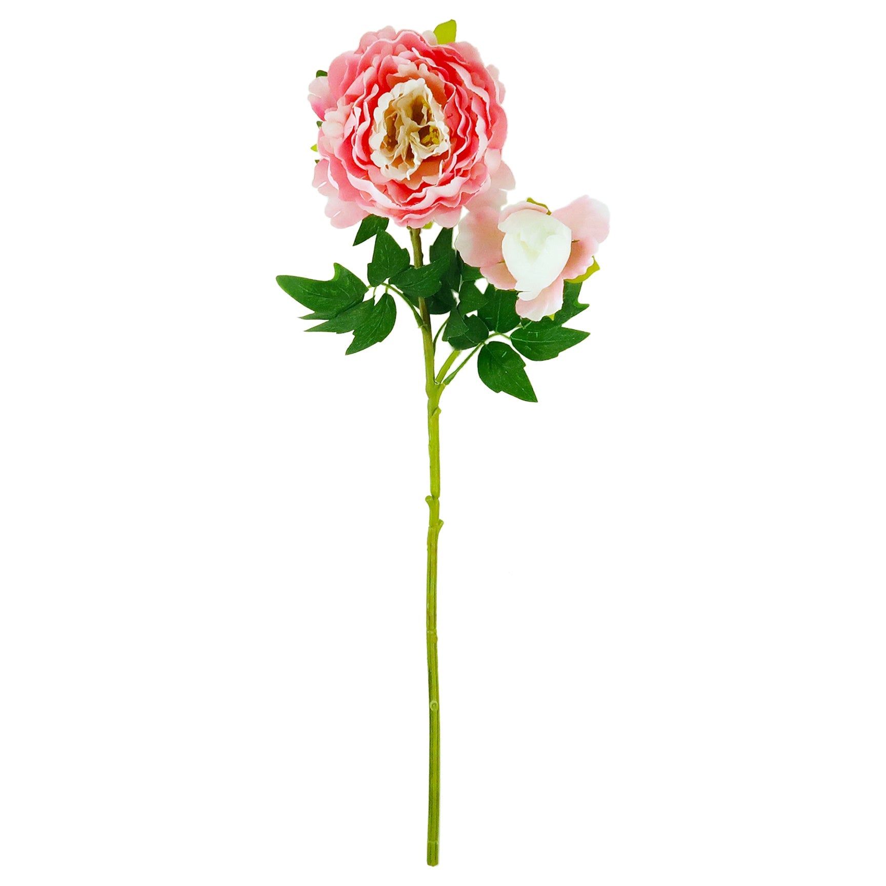 PEONY; DESIGNER 2-BRANCH STEM (PALE PINK)