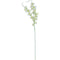 MOON ORCHID; DESIGNER LONG STEM (WHITE)