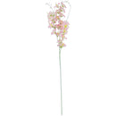 MOON ORCHID; DESIGNER LONG STEM (PALE PINK)