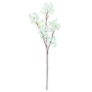 CHERRY BLOSSOM; SINGLE LONG STEM WHITE