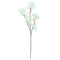 CHERRY BLOSSOM; SINGLE LONG STEM WHITE