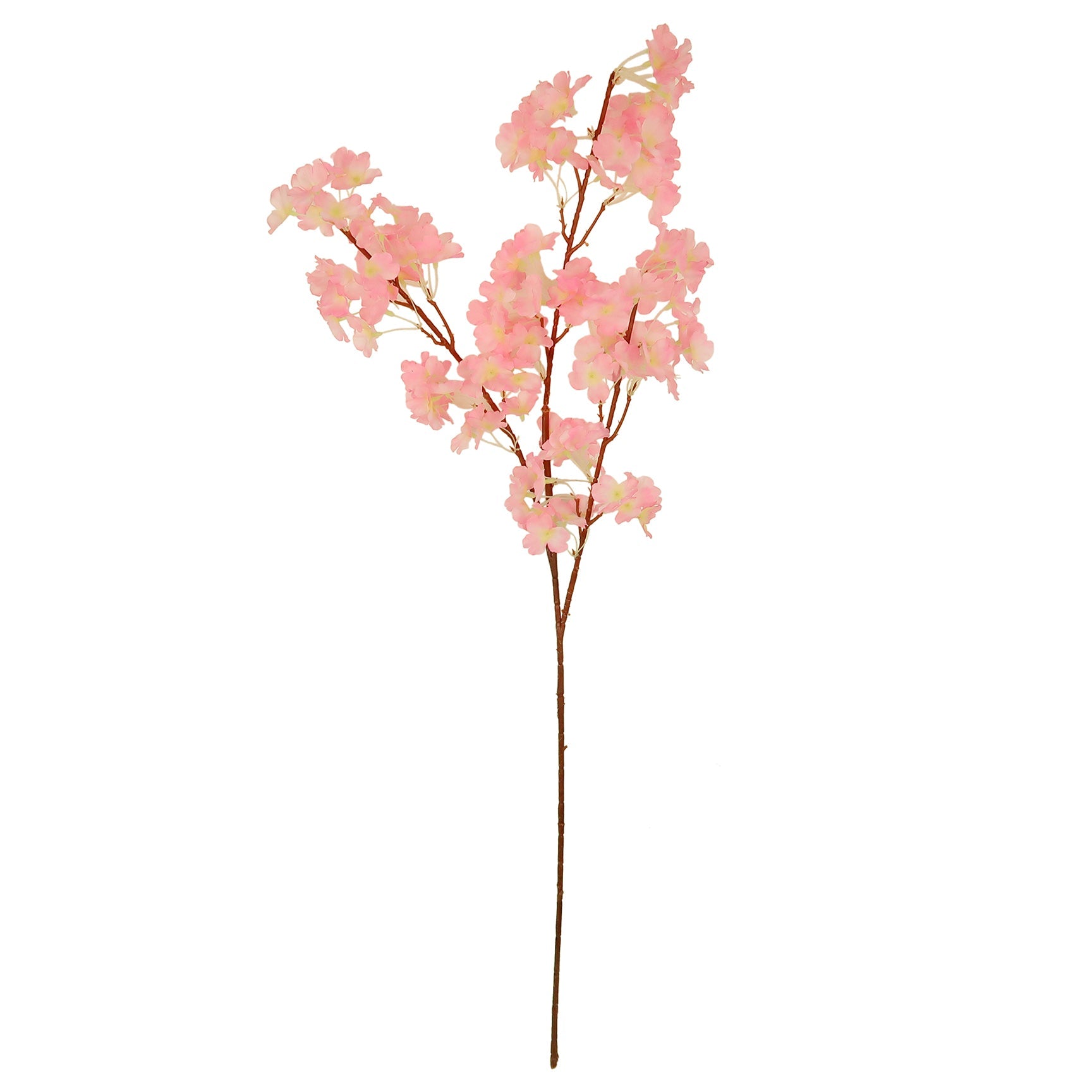 CHERRY BLOSSOM; SINGLE LONG STEM PINK