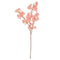 CHERRY BLOSSOM; SINGLE LONG STEM PINK