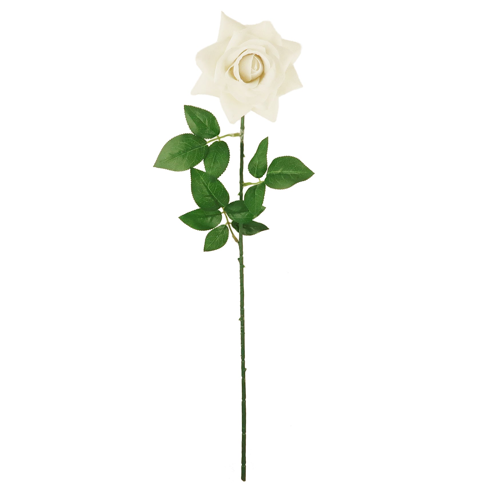 ROSE; VELVET SINGLE LONG STEM WHITE