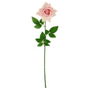 ROSE; VELVET SINGLE LONG STEM LIGHT PINK