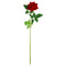 ROSE; VELVET THORNY BRANCH RED