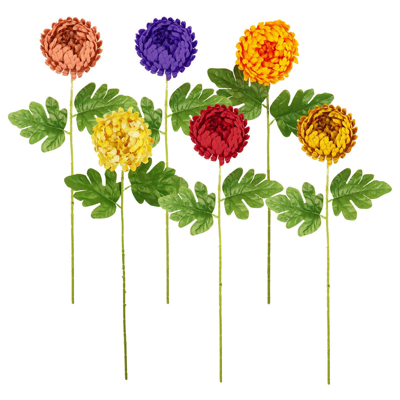 CHRYSANTHEMUM STEM