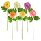 CHRYSANTHEMUM LONG STEM 6 ASSTD SPRING