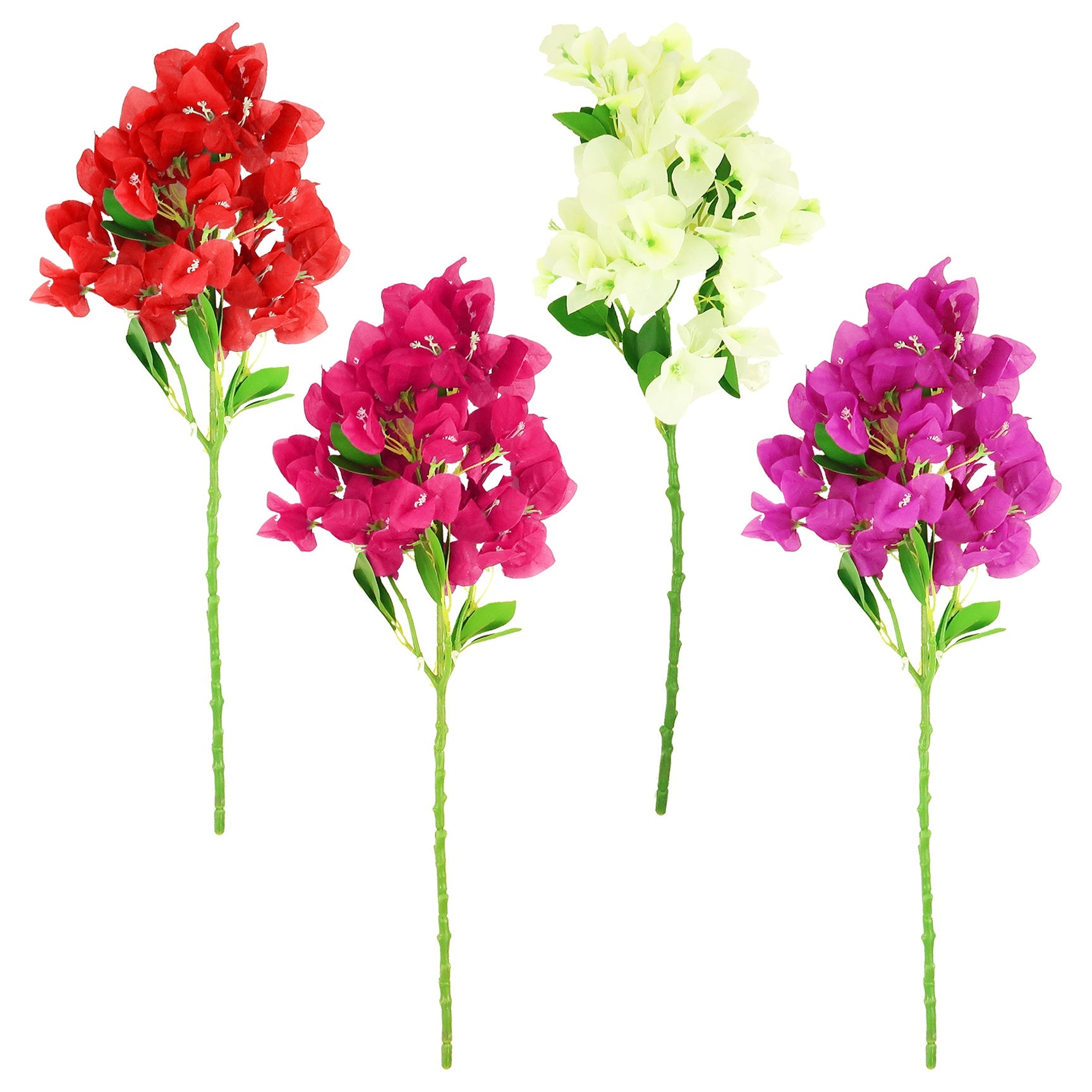 BOUGAINVILLEA LONG STEM 3 ASSTD