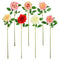 ROSE BLOSSOM LONG STEM 7 ASSTD