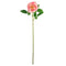 ROSE BLOSSOM LONG STEM PINK  ONLY