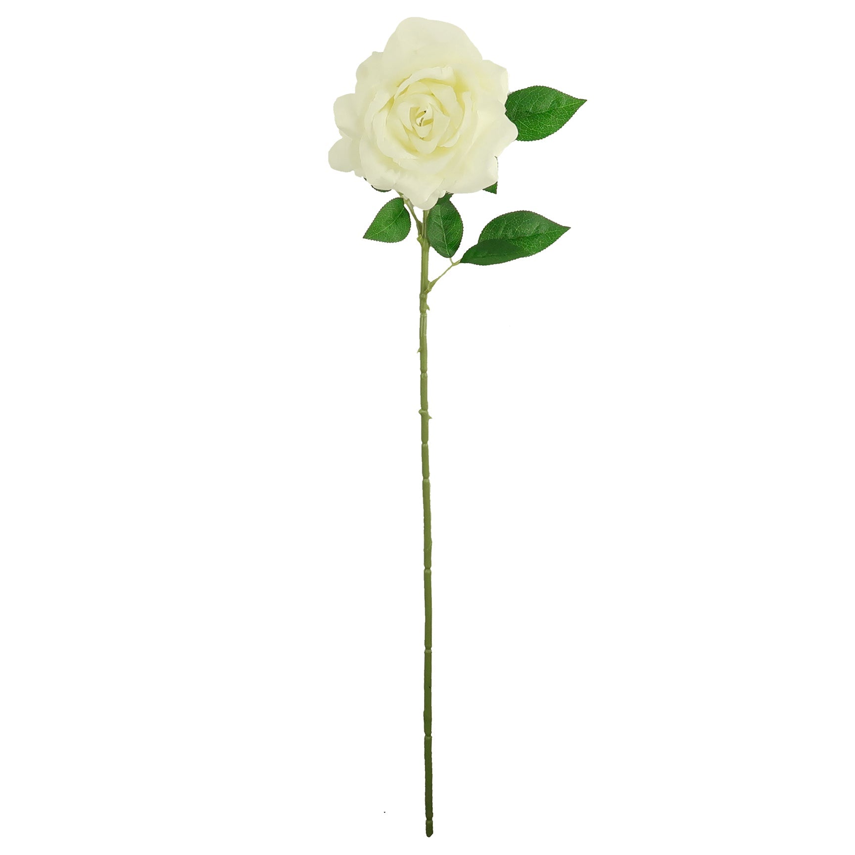 ROSE BLOSSOM LONG STEM WHITE ONLY