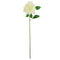 ROSE BLOSSOM LONG STEM WHITE ONLY