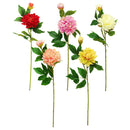 CHRYSANTHEMUM LONG STEM 5 ASSTD