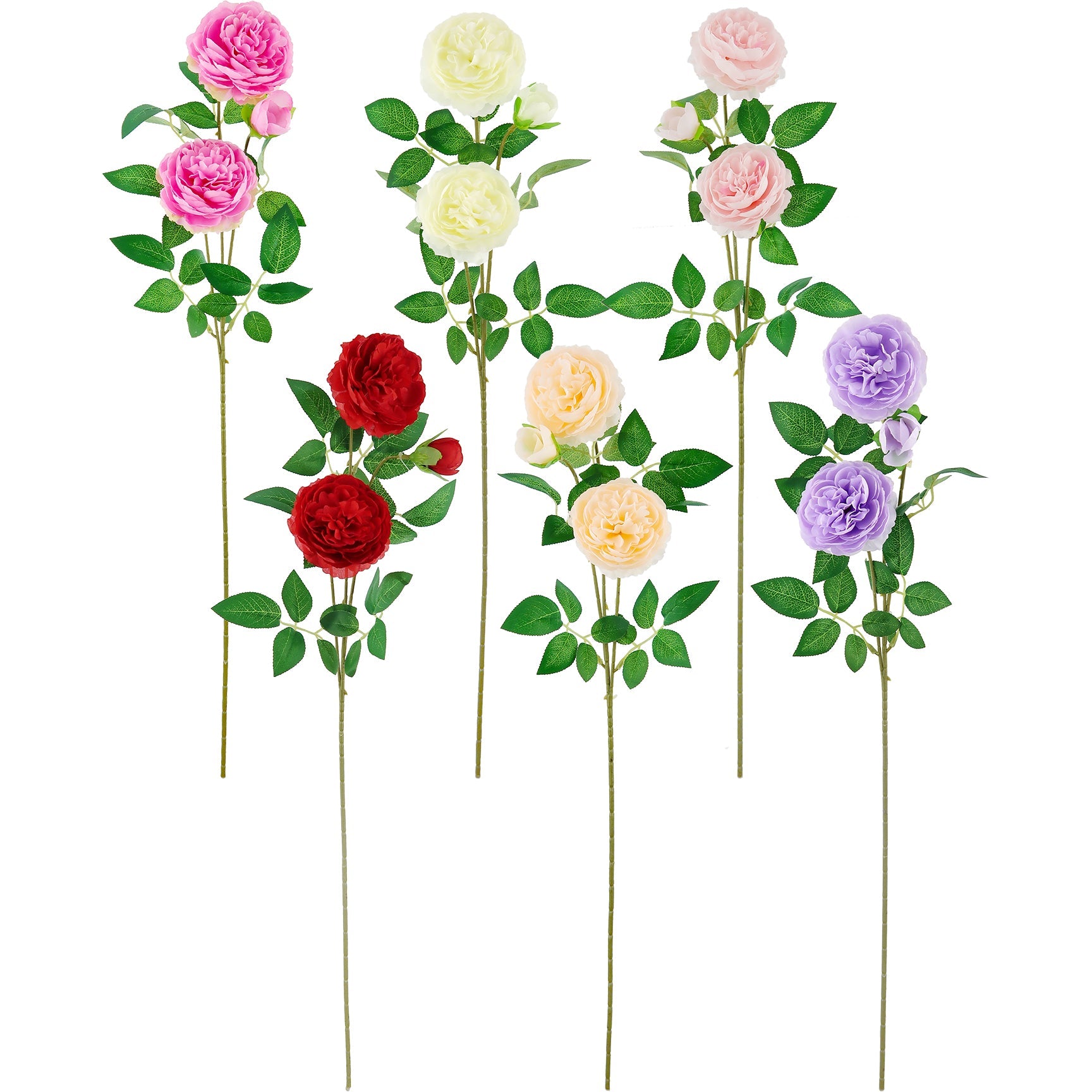 ROSE LONG STEM 2FLOWERS 1BUD LT 6ASTD