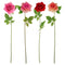 ROSE STEM VELVET