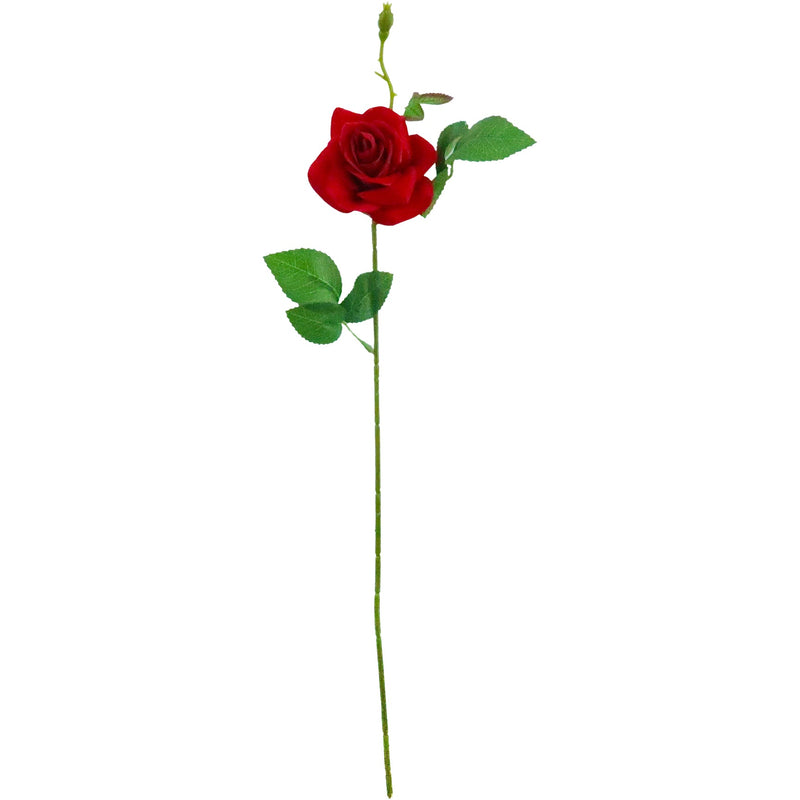 ROSE WITH BLOSSOM; VELVET SINGLE LONG STEM RED