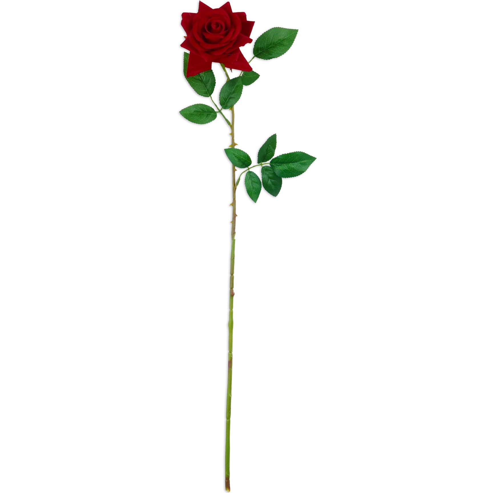 RED ROSE STEM VELVET